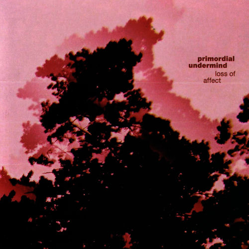 Primordial Undermind头像