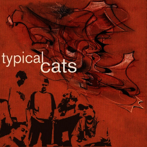 Typical Cats头像