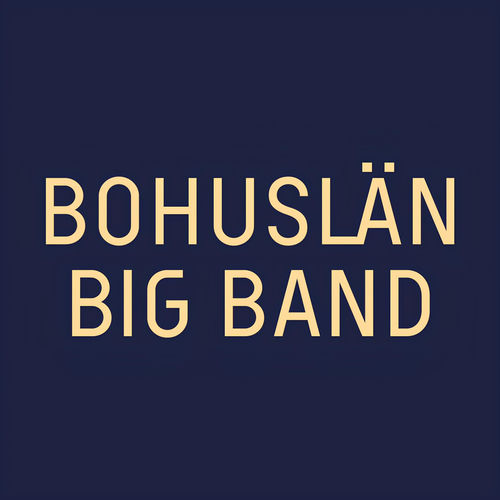 Bohuslän Big Band头像