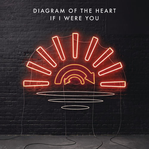Diagram of the Heart头像