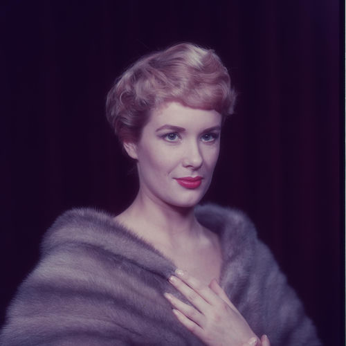 Sally Ann Howes头像