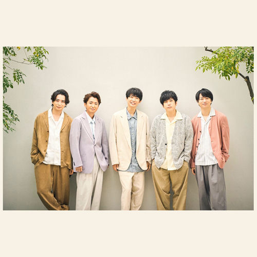 嵐头像