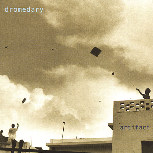 Dromedary头像
