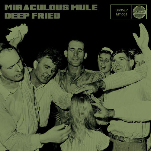 Miraculous Mule头像