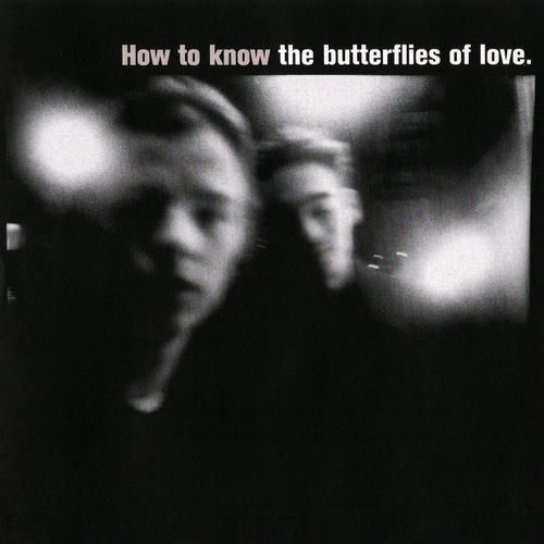 The Butterflies of Love头像