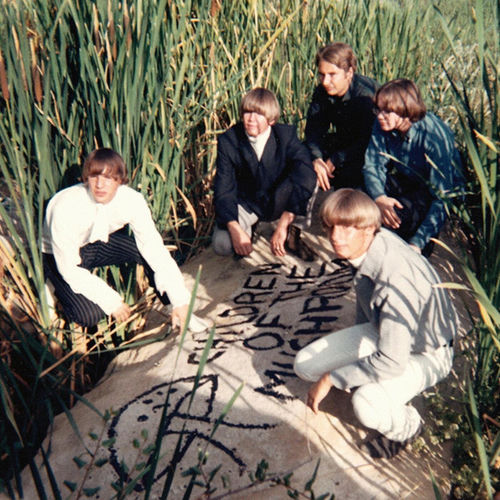 Children of the Mushroom头像