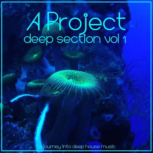 A Project头像