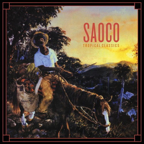Saoco头像