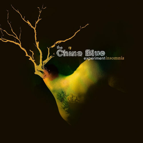 The China Blue Experiment头像