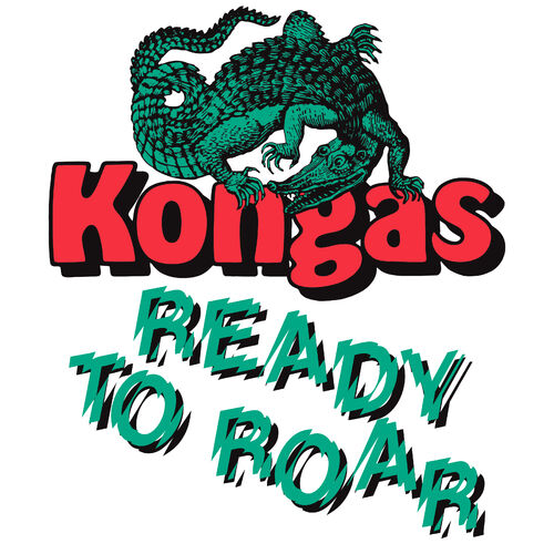 Kongas头像