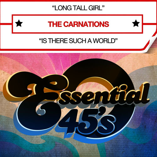 The Carnations头像