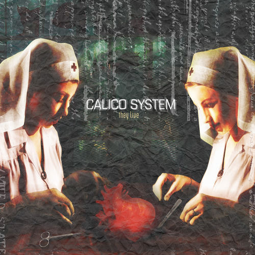 Calico System头像
