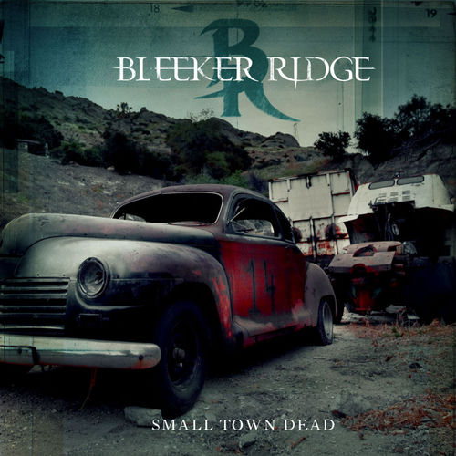 Bleeker Ridge头像