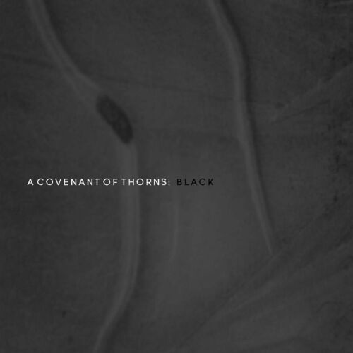 A Covenant of Thorns头像