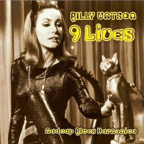 Billy Watson and His International Silver String Submarine Band头像