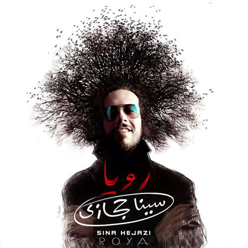 Sina Hejazi头像