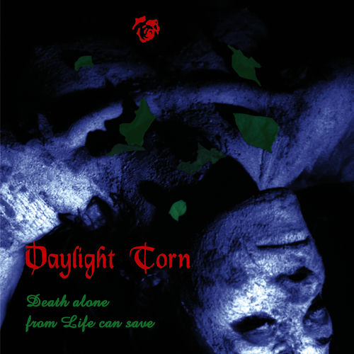 Daylight Torn头像