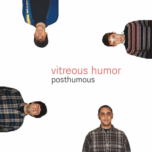 Vitreous Humor头像