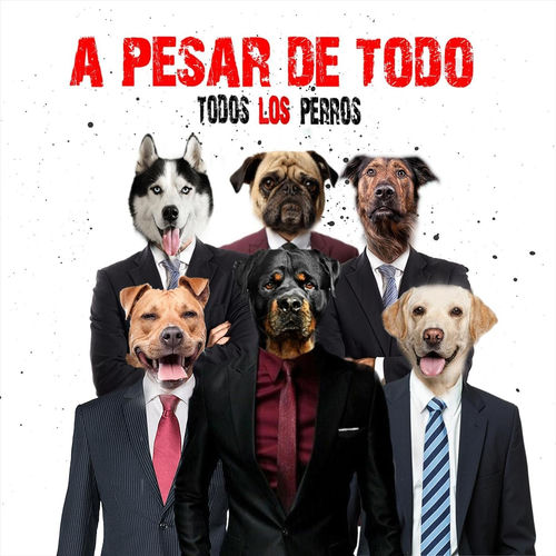 Todos Los Perros头像