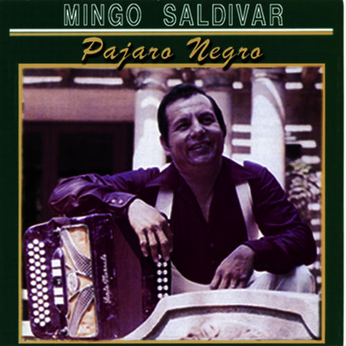 Mingo Saldívar头像