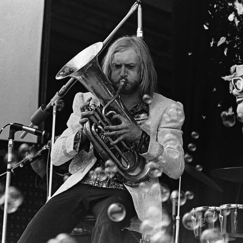 The Bonzo Dog Band头像