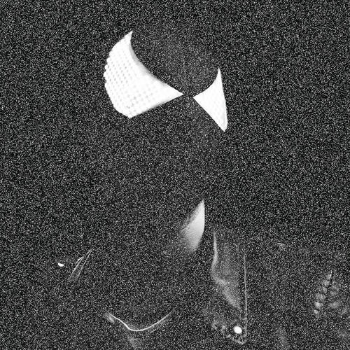 The Bloody Beetroots头像