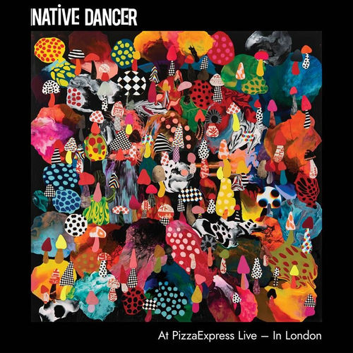 Native Dancer头像