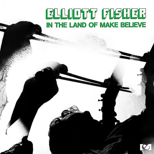 Elliott Fisher头像