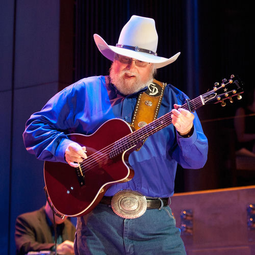 The Charlie Daniels Band头像