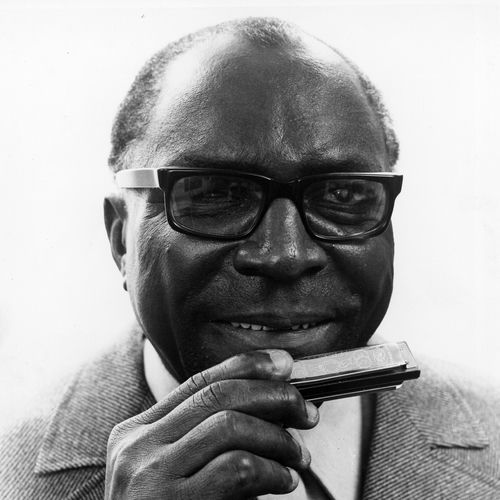 Sonny Terry头像