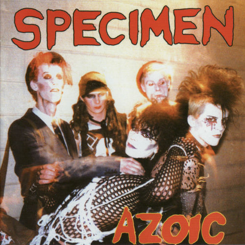 Specimen头像