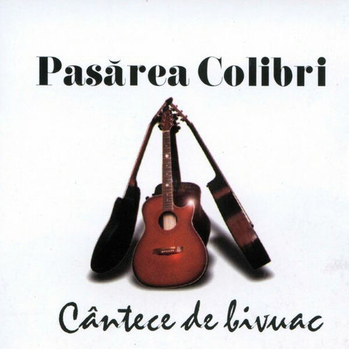 Pasărea Colibri头像