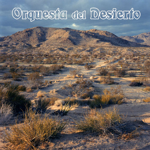 Orquesta del Desierto头像