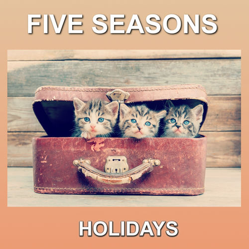 Five Seasons头像
