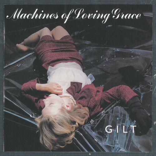 Machines of Loving Grace头像