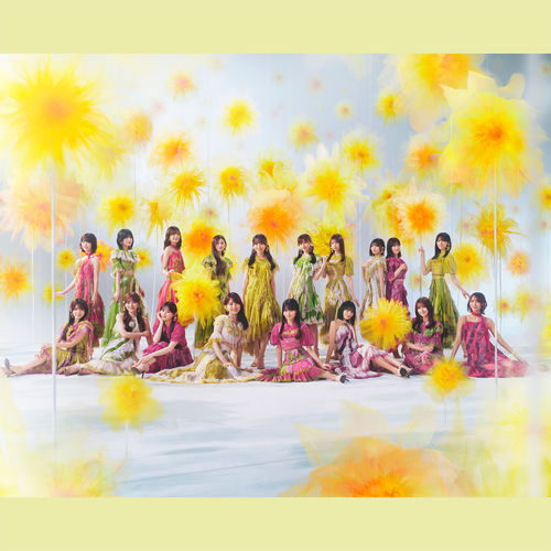 乃木坂46头像