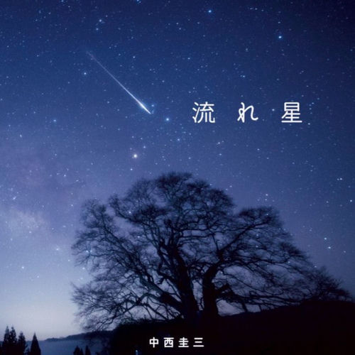 中西圭三头像