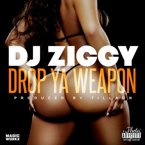 DJ Ziggy头像