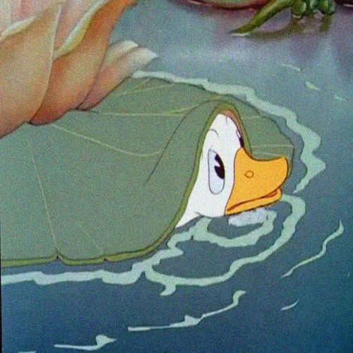 miseryswin头像