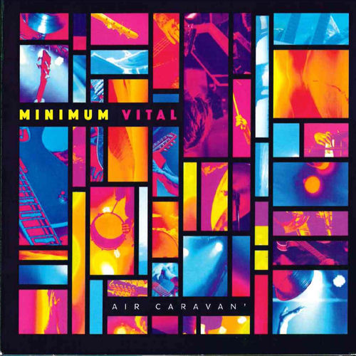 Minimum Vital头像