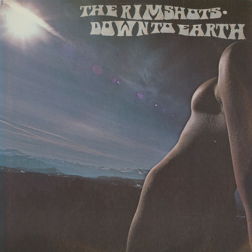 The Rimshots头像