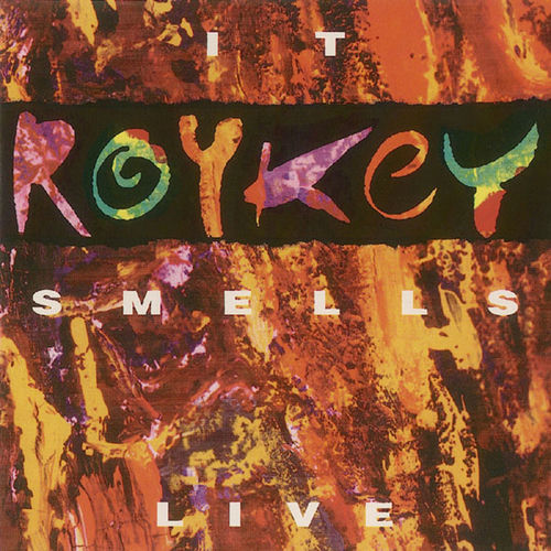 Roykey头像