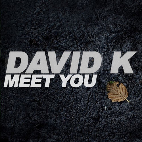 David K头像