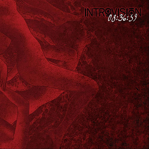 Introvisión头像
