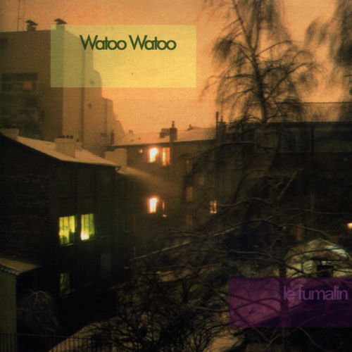 Watoo Watoo头像