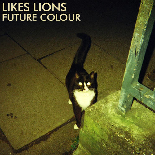 Likes Lions头像