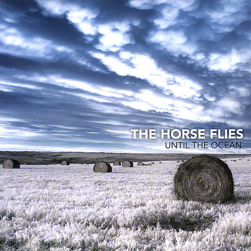 The Horse Flies头像