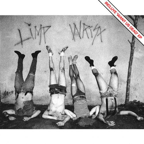 Limp Wrist头像