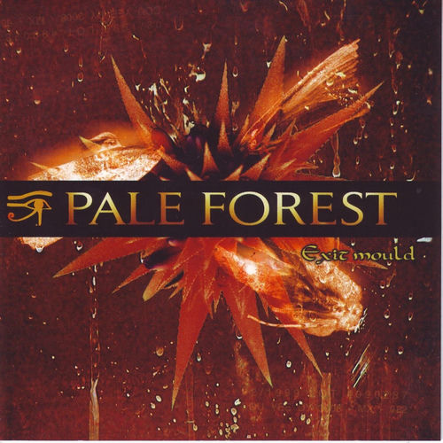 Pale Forest头像