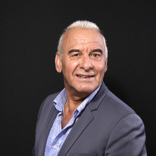 Michel Fugain头像